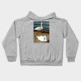 Swan song Kids Hoodie